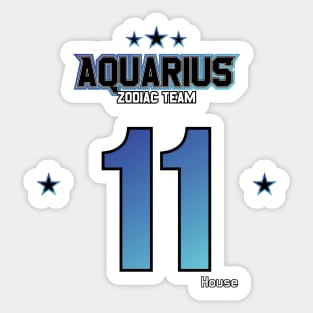 Zodiac Majesty Sport Aquarius Team V3 Sticker